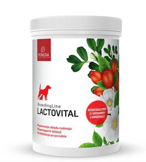 Atveseļošanās pēc dzemdībām Lacto Vital 150g